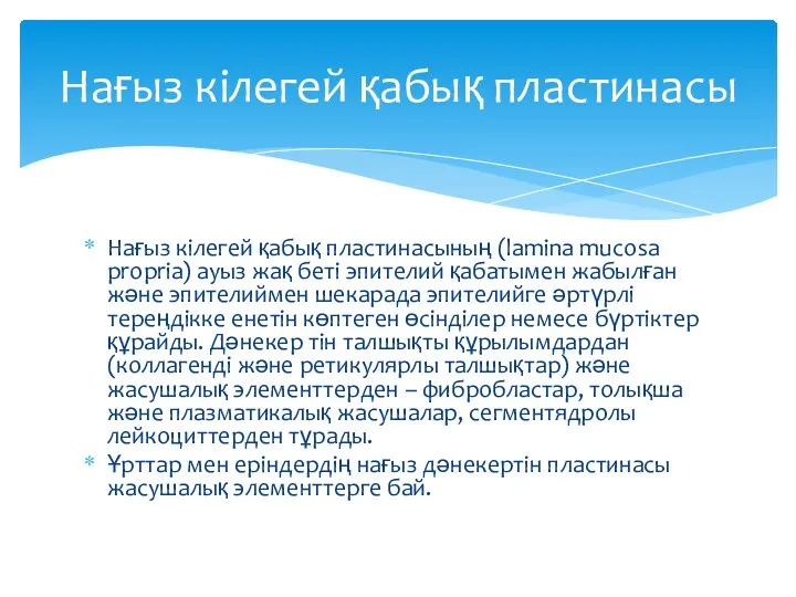 Нағыз кілегей қабық пластинасының (lamina mucosa propria) ауыз жақ беті эпителий қабатымен жабылған