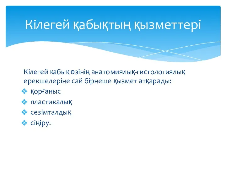 Кілегей қабық өзінің анатомиялық-гистологиялық ерекшелеріне сай бірнеше қызмет атқарады: қорғаныс пластикалық сезімталдық сіңіру. Кілегей қабықтың қызметтері