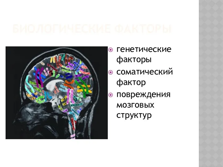 БИОЛОГИЧЕСКИЕ ФАКТОРЫ генетические факторы соматический фактор повреждения мозговых структур