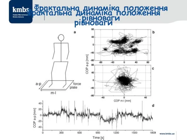 Фрактальна динаміка положення рівноваги Фрактальна динаміка положення рівноваги