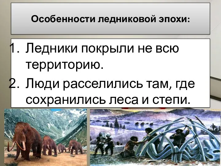 Особенности ледниковой эпохи: Ледники покрыли не всю территорию. Люди расселились там, где сохранились леса и степи.