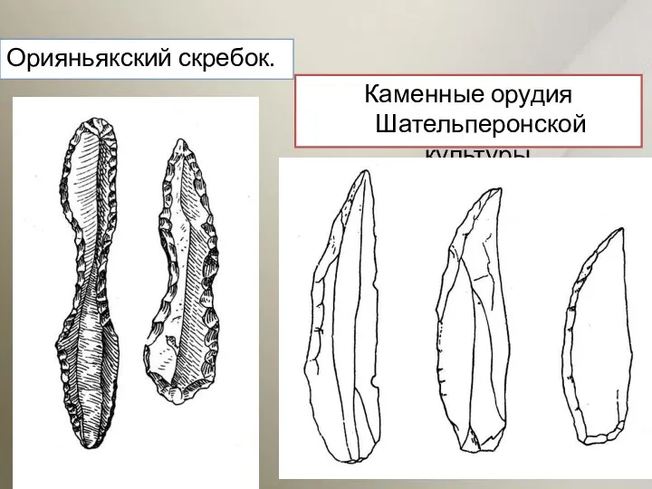 Орияньякский скребок. Каменные орудия Шательперонской культуры.