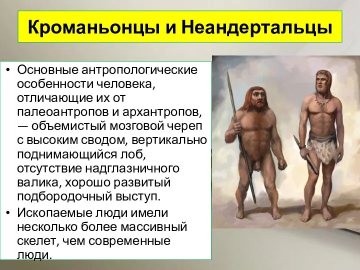 Кроманьонцы и Неандертальцы Основные антропологические особенности человека, отличающие их от палеоантропов и архантропов,