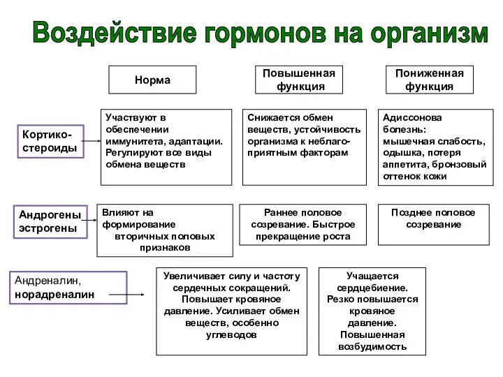 Норма Повышенная функция Пониженная функция Кортико- стероиды Участвуют в обеспечении