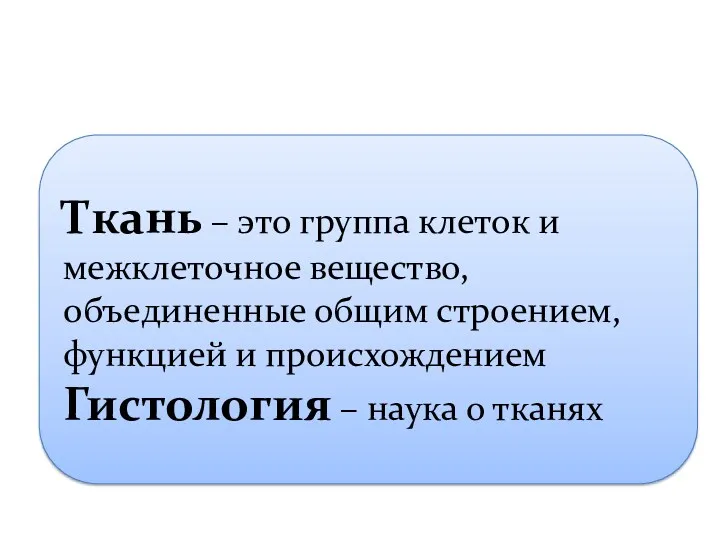 Ткань – это группа клеток и межклеточное вещество, объединенные общим