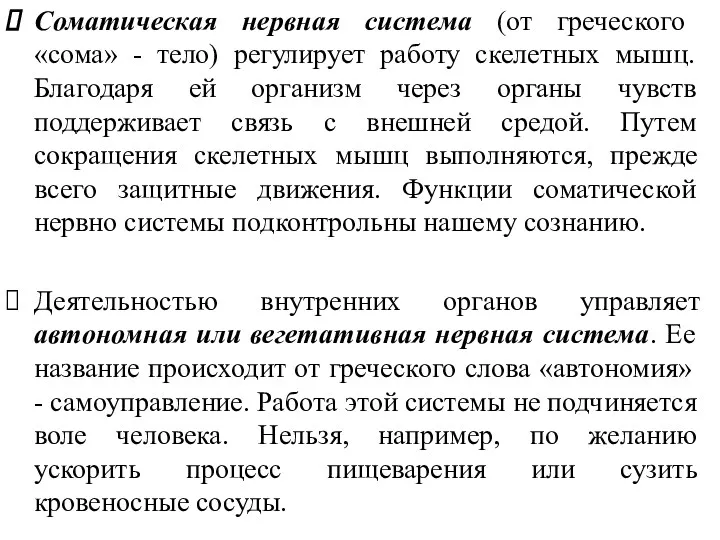 Соматическая нервная система (от греческого «сома» - тело) регулирует работу