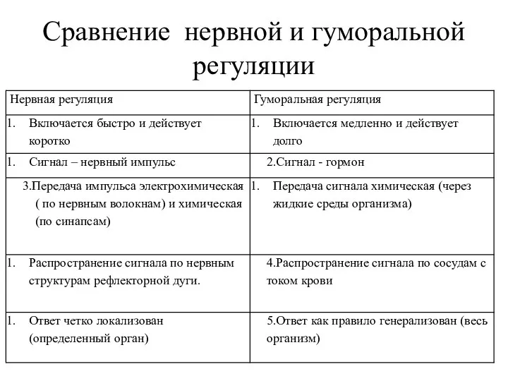 Сравнение нервной и гуморальной регуляции