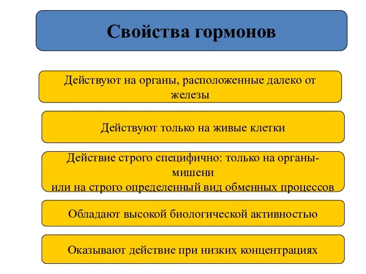 Свойства гормонов Действуют на органы, расположенные далеко от железы Действуют