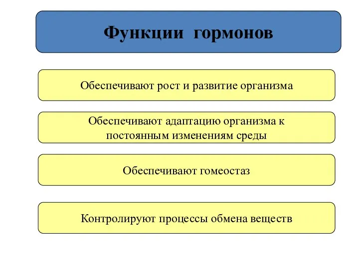 Функции гормонов Обеспечивают рост и развитие организма Обеспечивают адаптацию организма