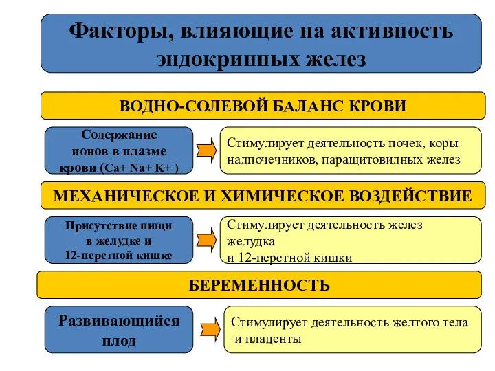 Факторы, влияющие на активность эндокринных желез ВОДНО-СОЛЕВОЙ БАЛАНС КРОВИ МЕХАНИЧЕСКОЕ