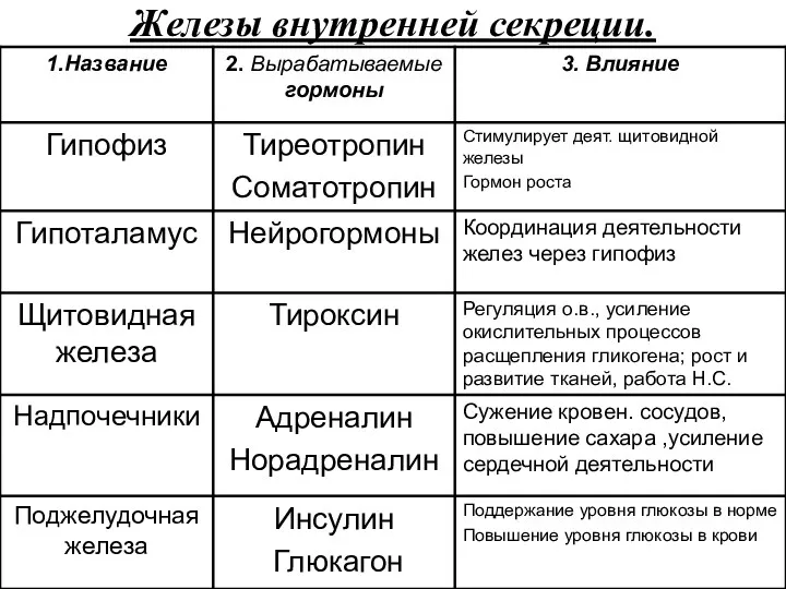 Железы внутренней секреции.