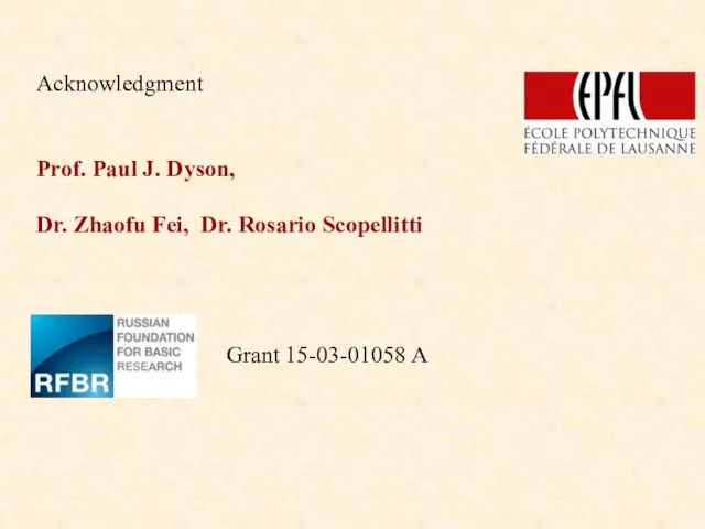 Acknowledgment Prof. Paul J. Dyson, Dr. Zhaofu Fei, Dr. Rosario Scopellitti Grant 15-03-01058 A