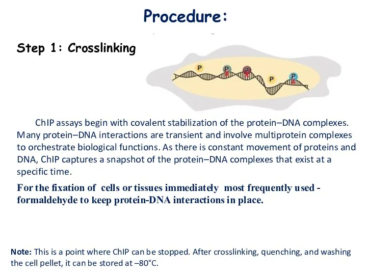 Procedure: Step 1: Crosslinking ChIP assays begin with covalent stabilization