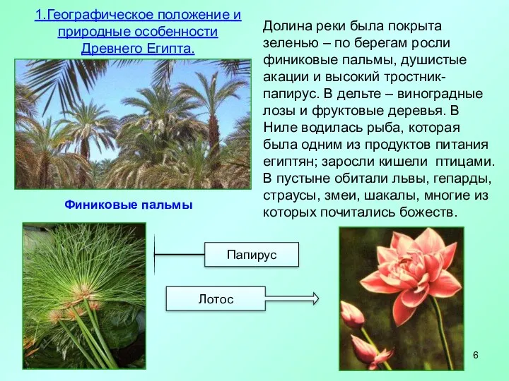 Финиковые пальмы 1.Географическое положение и природные особенности Древнего Египта. Долина