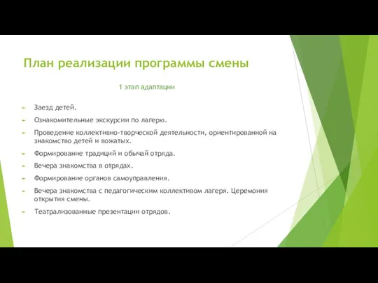 План реализации программы смены Заезд детей. Ознакомительные экскурсии по лагерю.