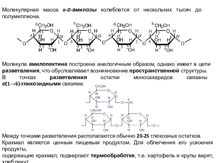 Молекулярная масса a-D-амилозы колеблется от нескольких тысяч до полумиллиона. Молекула