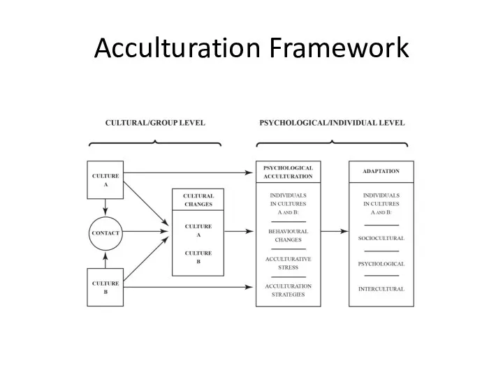Acculturation Framework