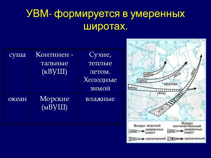 УВМ- формируется в умеренных широтах.