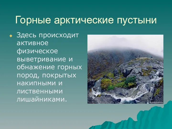 Горные арктические пустыни Здесь происходит активное физическое выветривание и обнажение