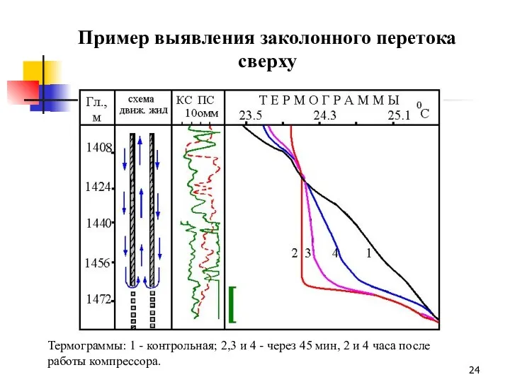 Термограммы: 1 - контрольная; 2,3 и 4 - через 45 мин, 2 и