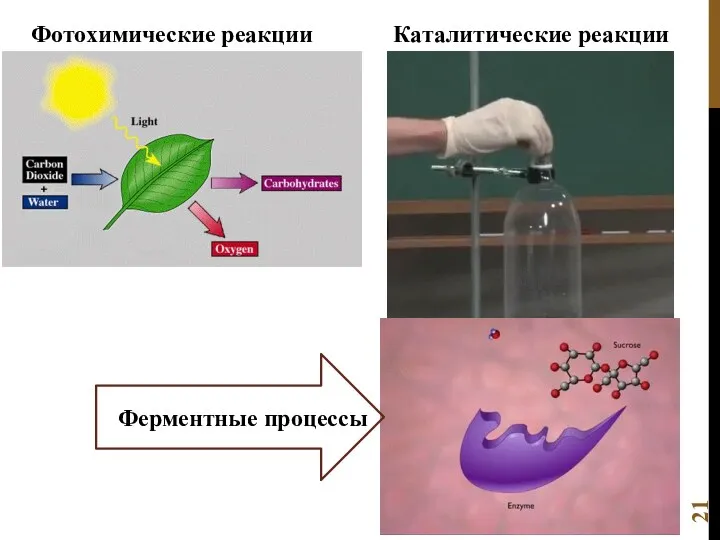 Фотохимические реакции Каталитические реакции Ферментные процессы