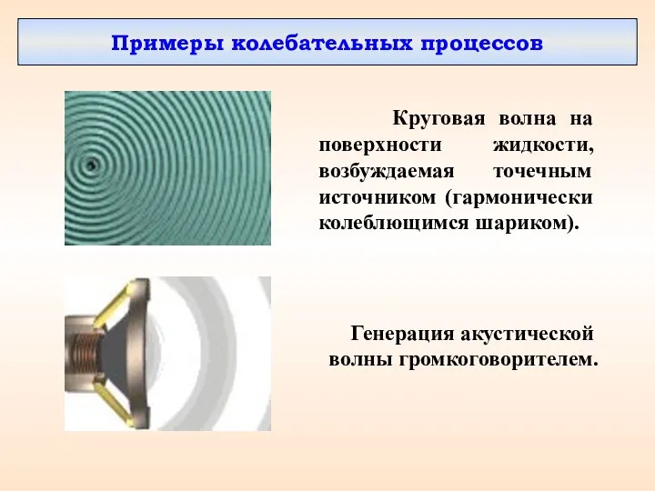 Примеры колебательных процессов Круговая волна на поверхности жидкости, возбуждаемая точечным