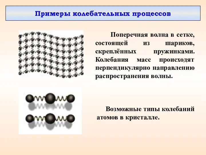 Возможные типы колебаний атомов в кристалле. Поперечная волна в сетке,