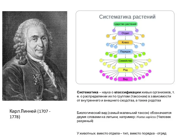 Систематика – наука о классификации живых организмов, т.е. о распределении