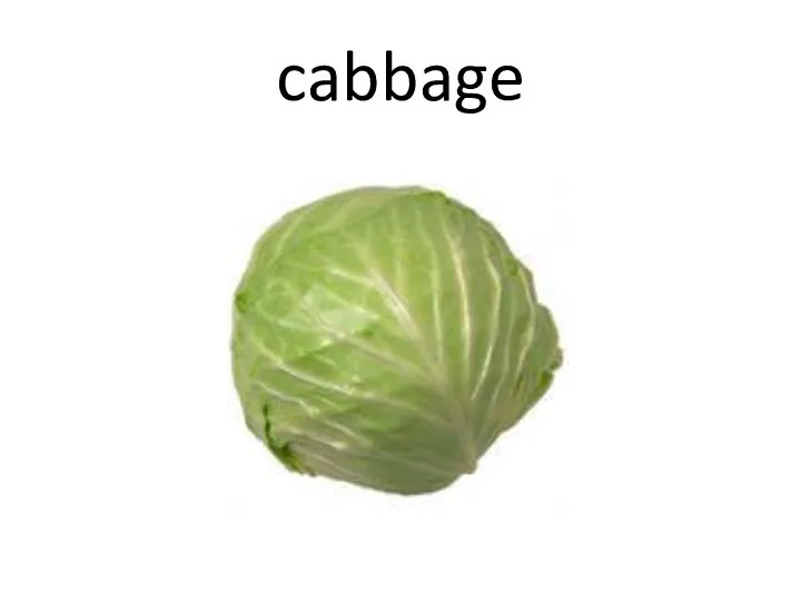 cabbage