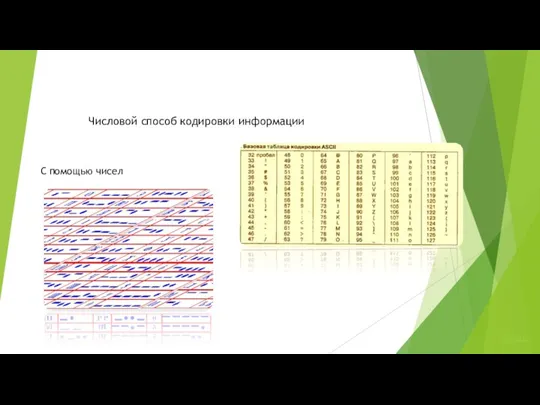 Числовой способ кодировки информации С помощью чисел Назад