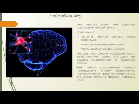 Нейробионика Мне удалось узнать чем основные направления нейробионики. Направления: Изучение нервной системы живых