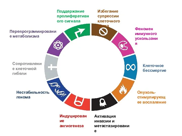 Поддержание пролиферативного сигнала Избегание супрессии клеточного роста Сопротивление клеточной гибели