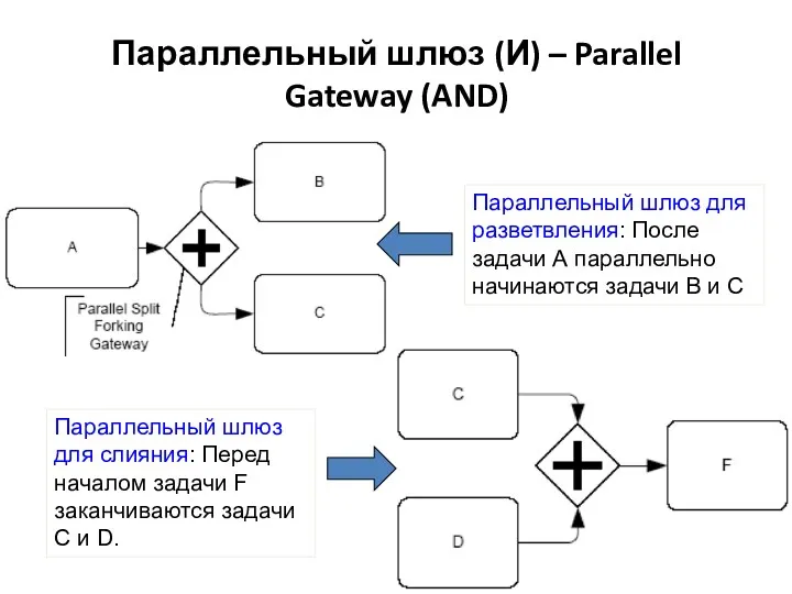 Параллельный шлюз (И) – Parallel Gateway (AND) Параллельный шлюз для разветвления: После задачи