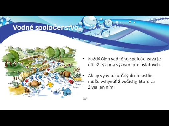 Vodné spoločenstvo Každý člen vodného spoločenstva je dôležitý a má