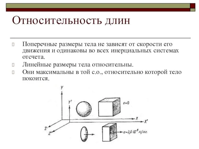 Относительность длин Поперечные размеры тела не зависят от скорости его