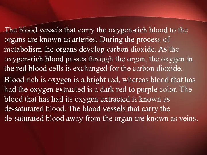 The blood vessels that carry the oxygen-rich blood to the organs are known