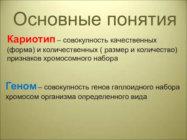 Основные понятия Кариотип – совокупность качественных (форма) и количественных (