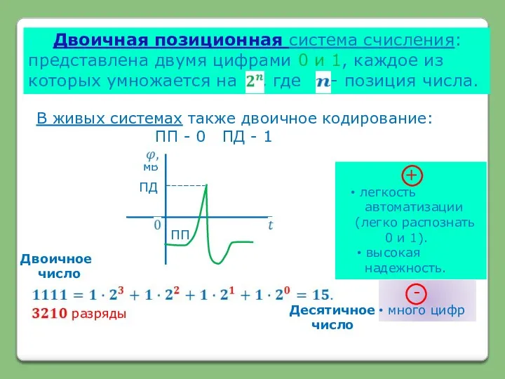 В живых системах также двоичное кодирование: ПП - 0 ПД