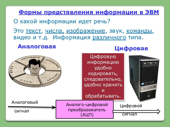 Формы представления информации в ЭВМ О какой информации идет речь?