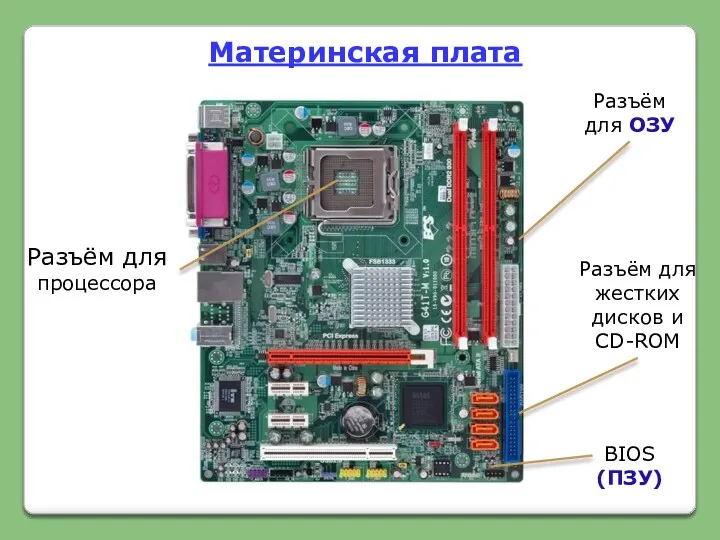 Разъём для ОЗУ BIOS (ПЗУ) Разъём для жестких дисков и CD-ROM Разъём для процессора Материнская плата