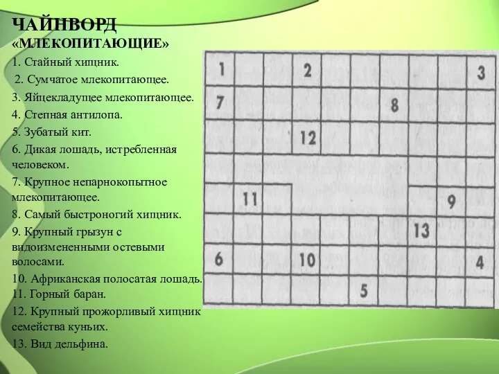 ЧАЙНВОРД «МЛЕКОПИТАЮЩИЕ» 1. Стайный хищник. 2. Сумчатое млекопитающее. 3. Яйцекладущее