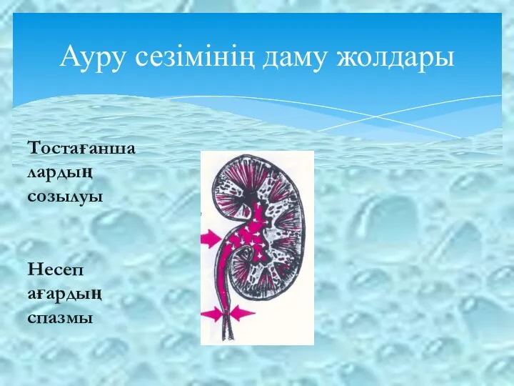 Ауру сезімінің даму жолдары Тостағаншалардың созылуы Несеп ағардың спазмы