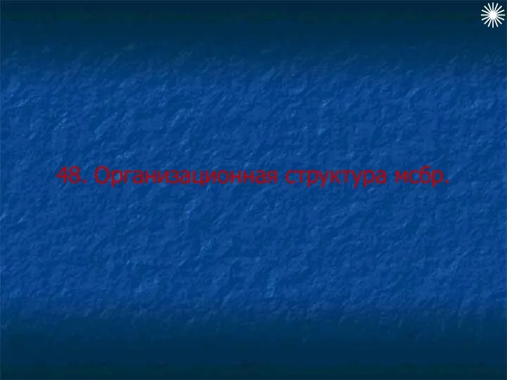 48. Организационная структура мсбр.