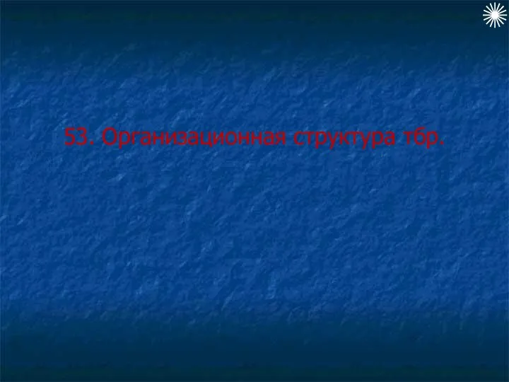 53. Организационная структура тбр.