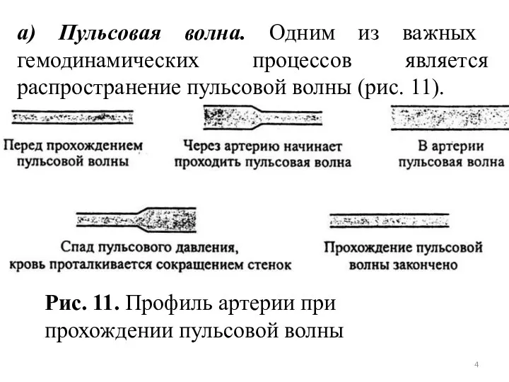 а) Пульсовая волна. Одним из важных гемодинамических процессов является распространение