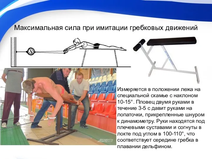 Максимальная сила при имитации гребковых движений Измеряется в положении лежа