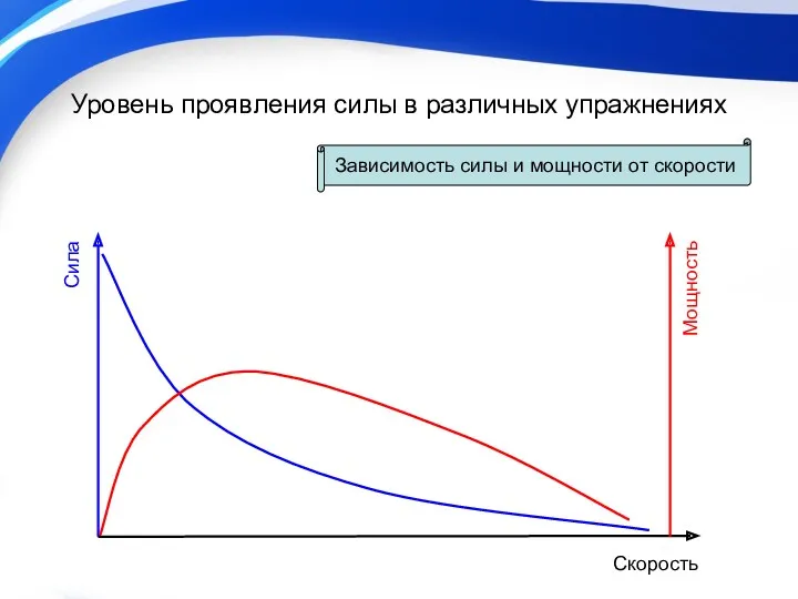 Уровень проявления силы в различных упражнениях Сила Мощность Скорость Зависимость силы и мощности от скорости