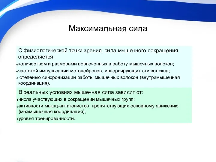 Максимальная сила С физиологической точки зрения, сила мышечного сокращения определяется: