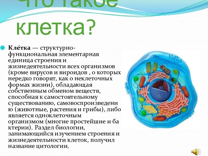 Что такое клетка? Кле́тка — структурно-функциональная элементарная единица строения и