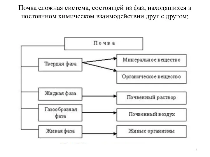 Почва сложная система, состоящей из фаз, находящихся в постоянном химическом взаимодействии друг с другом: